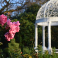 Bereavement Support Drop-In (evening session) January